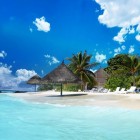 ����� ������������ ������