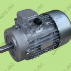 Трифазни асинхронни двигатели с мрежово захранване